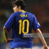 Brazil jersey 2010 #10 KAKA World Cup